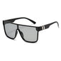 Adaptive Grey Photochromic Sunglasses with Multi-Color Styles