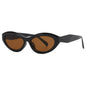 Multi-Color Sunglasses Collection: 8 Vibrant Options for Style Versatility