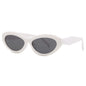 Multi-Color Sunglasses Collection: 8 Vibrant Options for Style Versatility