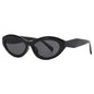 Multi-Color Sunglasses Collection: 8 Vibrant Options for Style Versatility
