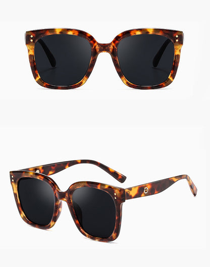 Modern Square Sunglasses in Multiple Color Options - Classic, Tortoiseshell, Pastel & Transparent Frames